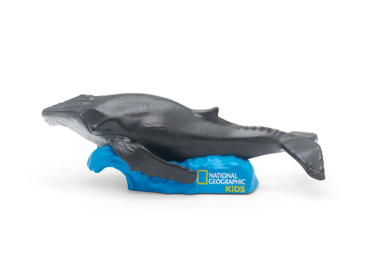 National Geographic Kids: Whale Tonie - Image 4