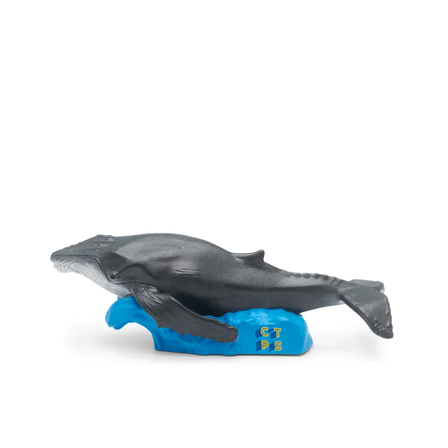 National Geographic Kids: Whale Tonie - Image 9